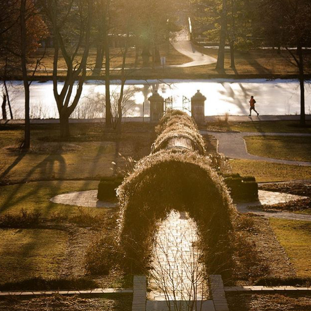 Fabyan Forest Preserve - @amazedbyyouphoto
